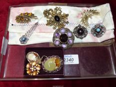Eleven brooches including blue and purple details, cameo etc.
