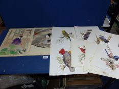 A quantity of unframed prints including Japanese, birds, etc.