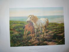 An unframed print of a mare and foal entitled "Mother and Son" after an original by H.W.B. Davis.