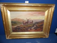 A gilt framed oil on canvas of a Highland scene with deer on the river bank, no visible signature,