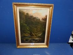 A gilt framed oil on canvas with certificate of authenticity verso title 'Riverscene in Derby or