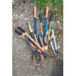 A quantity of garden tools, loppers, and shears.