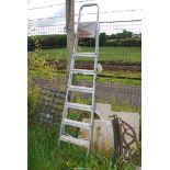 A seven rung aluminum step ladder.