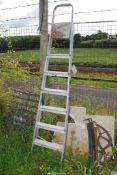 A seven rung aluminum step ladder.