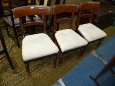Three Mahogany framed circa 1900 side Chairs standing on turned front legs and having cream