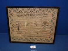 A framed Sampler worked by Mary Trevors 1841, including poetry, leaves and flowers, etc. 14" x 11".