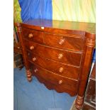 A circa 1900 Mahogany bow fronted Chest of three long and two short Drawers having turned knobs and