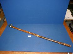 A hazel shafted walking Stick with carved/painted duck knop.