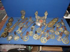 A large quantity of horse brasses on martingales etc.