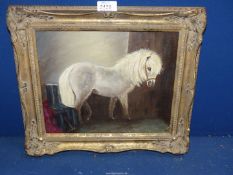 A framed Oil on board of a young grey pony in a stable, signed lower right, M.E.