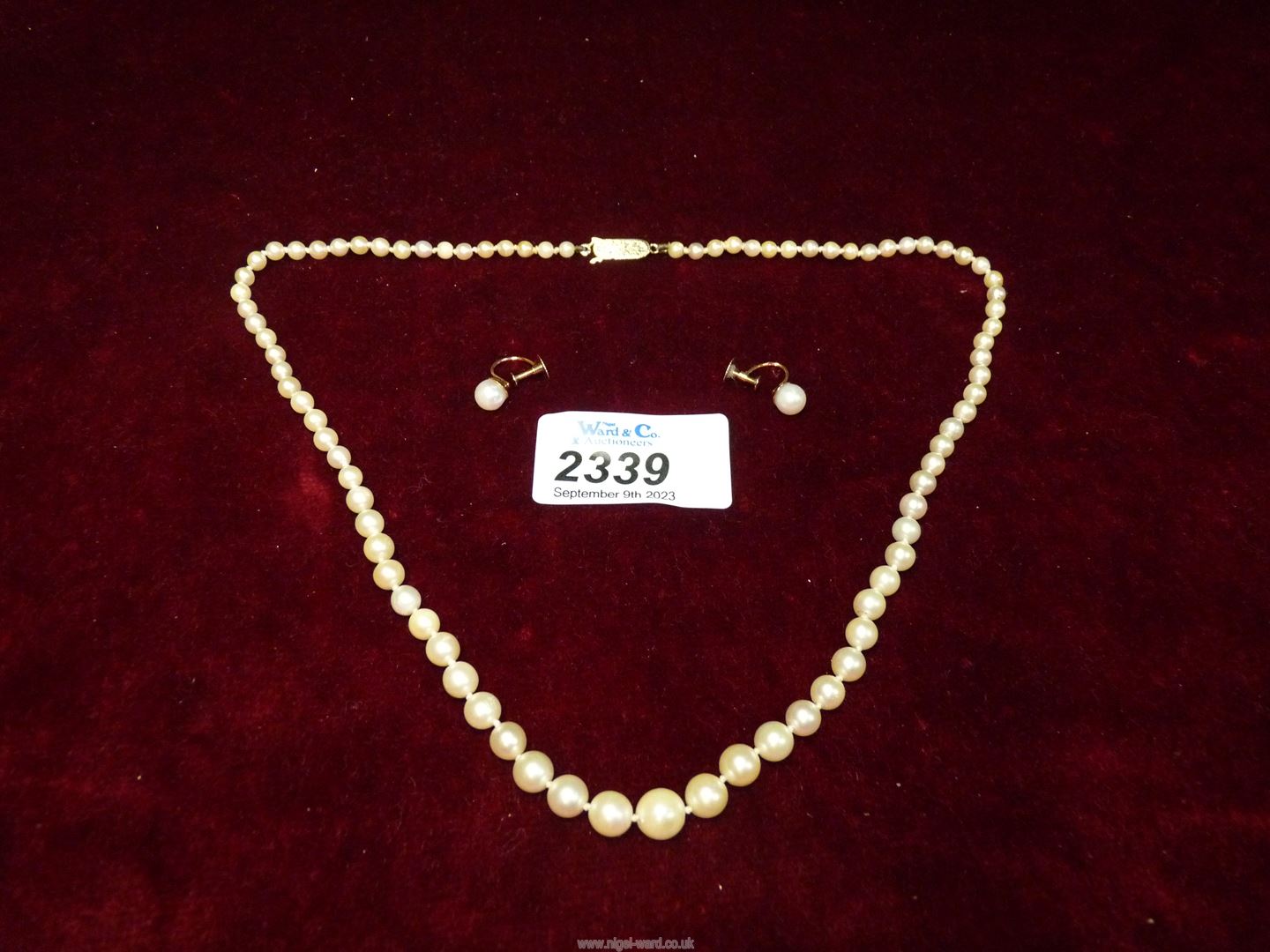 A cultured pearl necklace and a pair of screw back earrings with 9ct gold clasp and backs. - Image 2 of 2