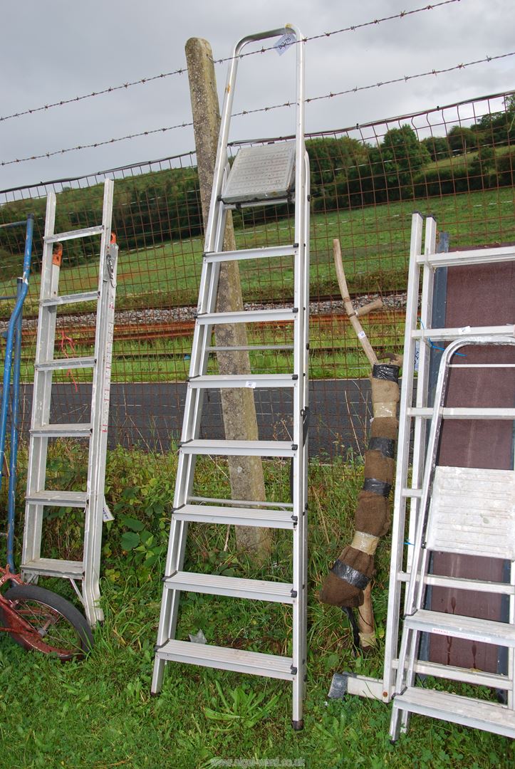 An eight rung aluminium step ladder.