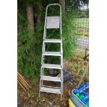 A six rung aluminium step ladder.