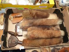 A quantity of Taxidermy Fox tails from Lady Curre's Hounds, Silverton Foxhounds,