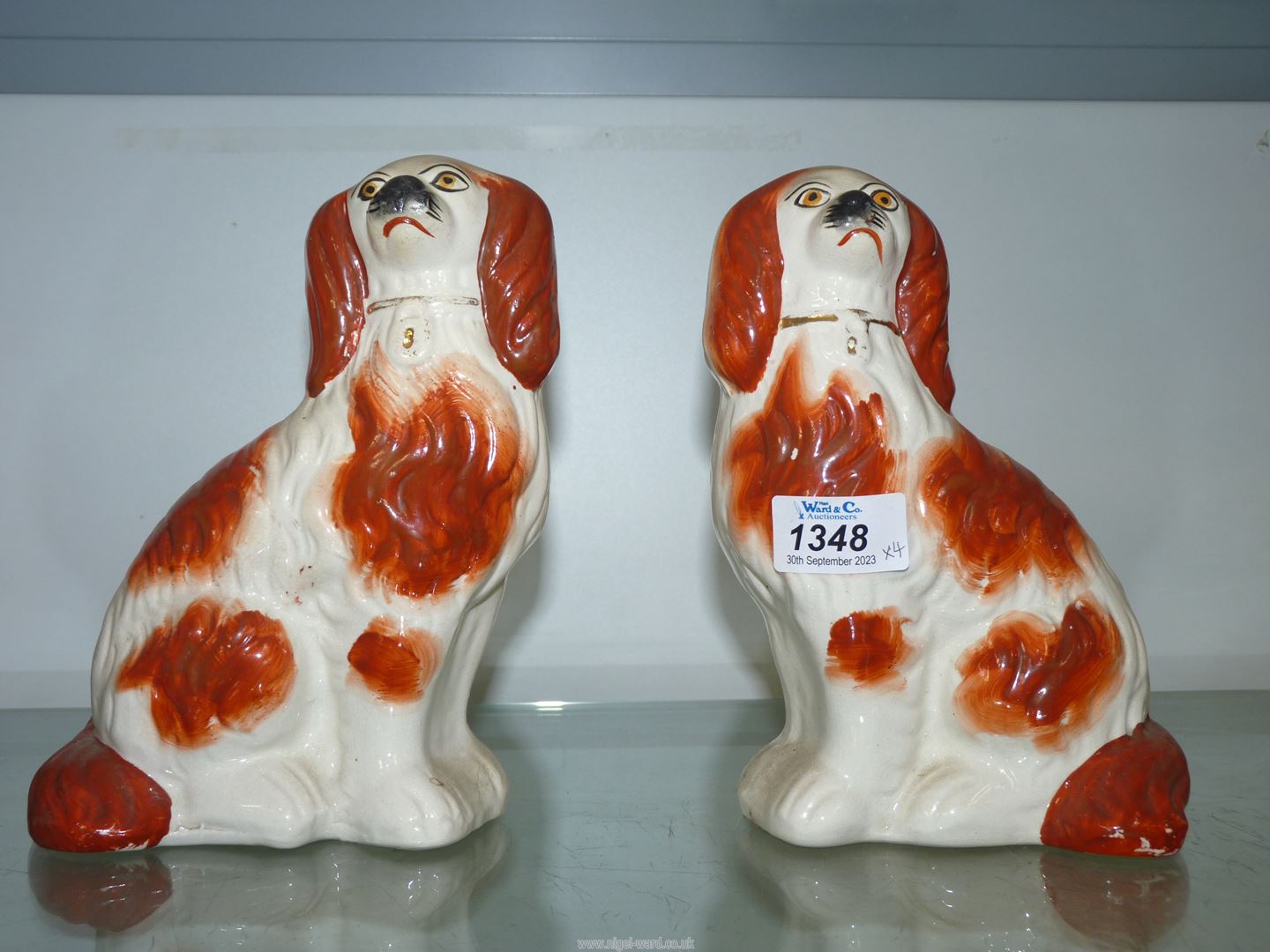 Two pairs of brown and white mantle spaniels; - Image 2 of 3