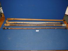 Four wooden walking sticks; one with carved head of boxer with metal collar.