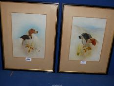Two Watercolours of a pair of Pointers by the same artist, monogram EG or GE. 44cm x 36cm.