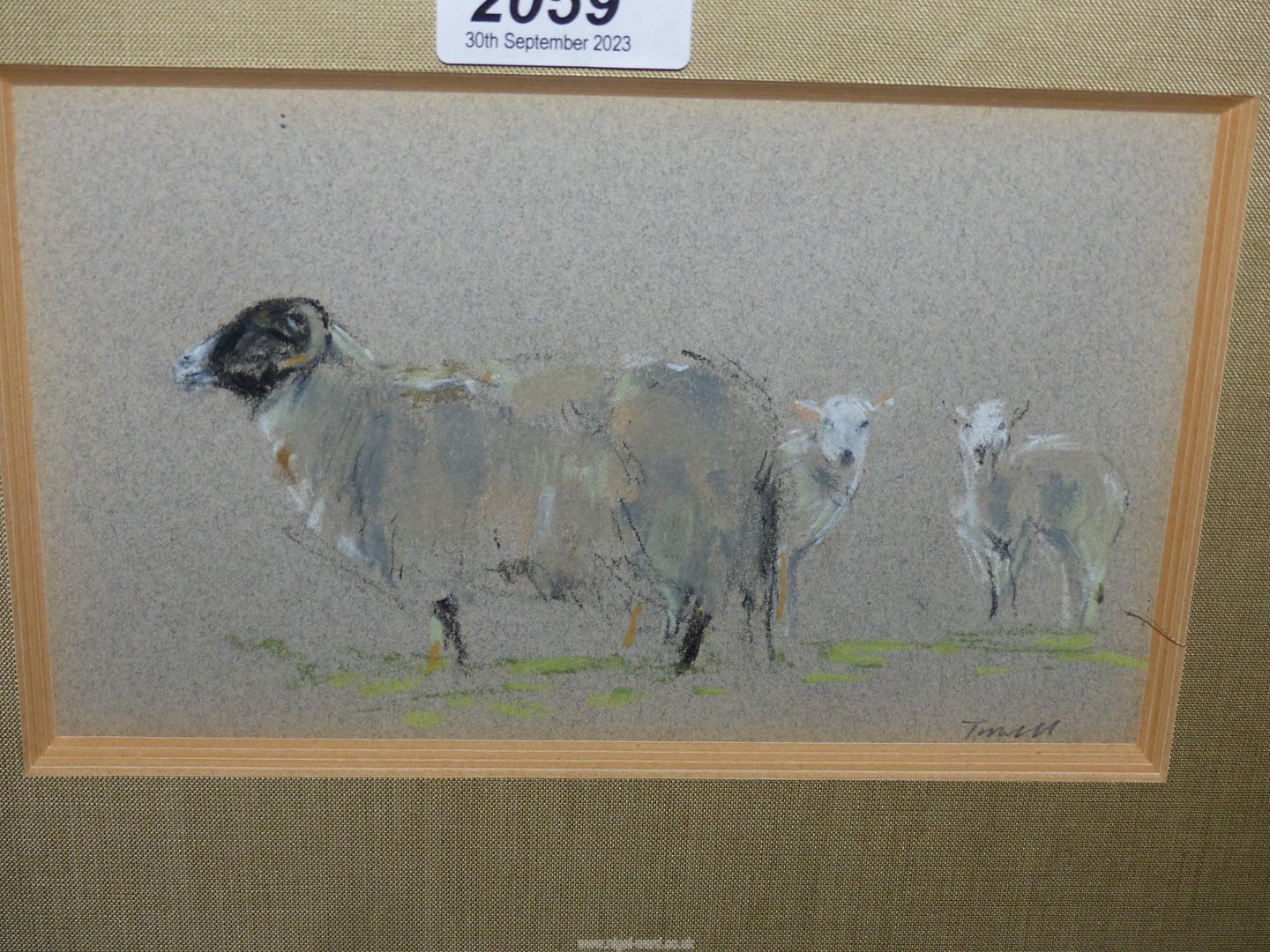 A small contemporary signed Sketch of sheep and lambs. 29cm x 36cm. - Image 2 of 2