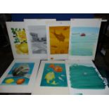 Seven Watercolour/Pen/Ink wash illustrations by Jeane Duffy depicting colourful fish, flowers,