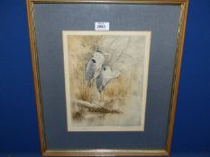 A signed Anne Singleton Limited Edition Etching (no: 5/15) depicting Herons at West Lake Brownsea