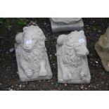 A pair of concrete Lions - 13½ high x 15½" long x 9" wide.