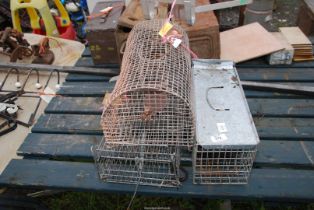 Rodent cages.