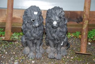 A pair of black painted plaster cast lions - 21" high, one as found.