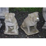 Pair of concrete Bulldogs - 17½" high.