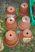 Six Terracotta pots.