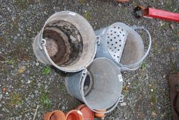 A galvanised mop bucket, plus two buckets with holes for planting.