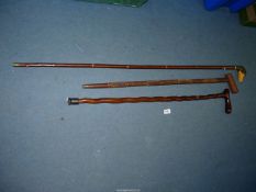 Three walking sticks, one with carved duck head,