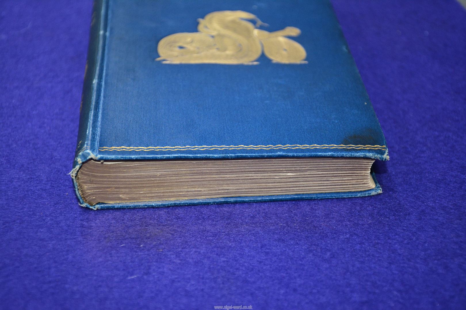 A first edition 1895 'The Second Jungle Book' by Rudyard Kipling. - Image 13 of 13