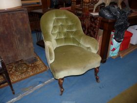 An Olive green Velvet/Dralon upholstered button-back tub armchair standing on scroll front legs.