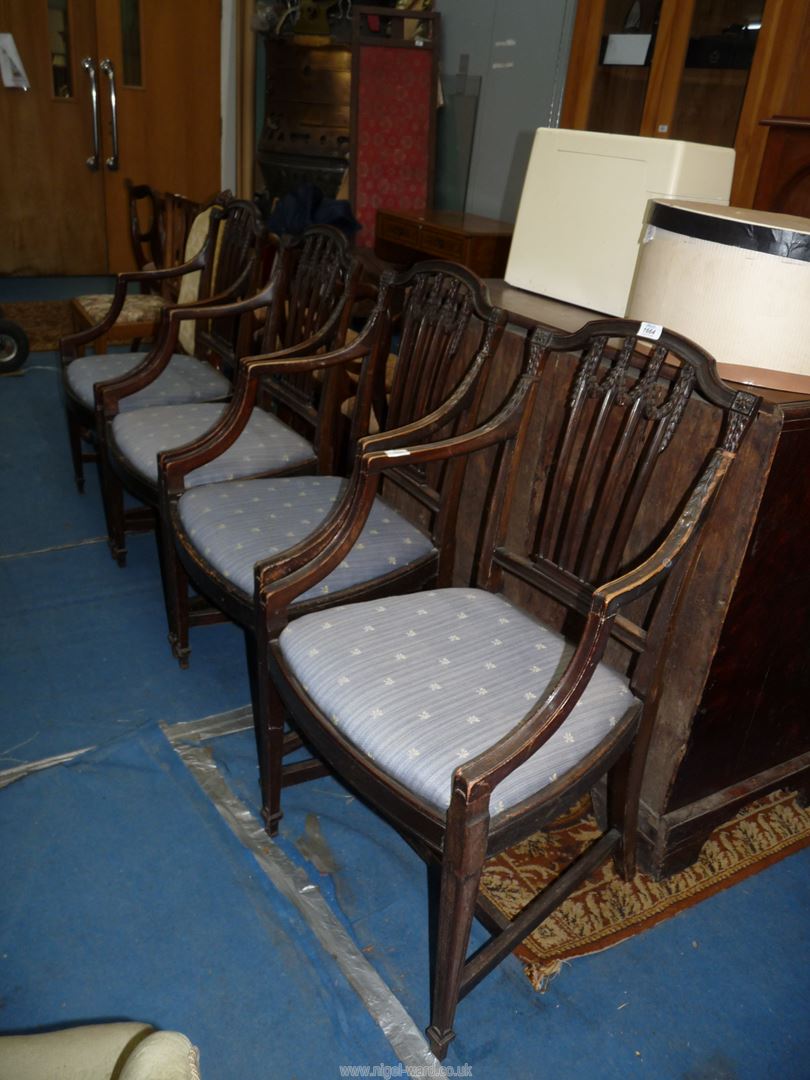 A set of four bow-fronted dark Mahogany framed dining/carver chairs having open arms the back-rests