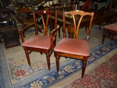 A set of six "Ducal" Pine framed contemporary dining chairs including two carver chairs,
