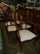 An attractive set of five dining chairs including a carver standing on cabriole front legs,