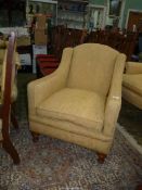 An Edwardian low armchair of angular design standing on turned front legs and upholstered in gold