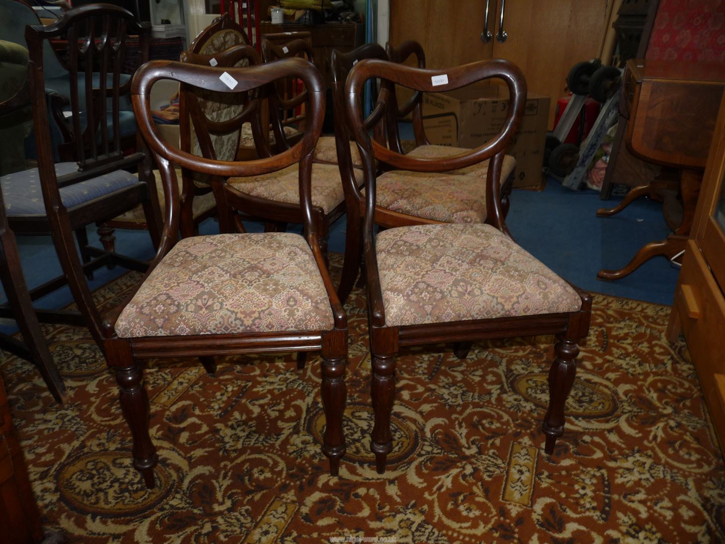 A set of six Rosewood balloon back dining chairs standing on turned eight-sided front legs and - Image 2 of 2