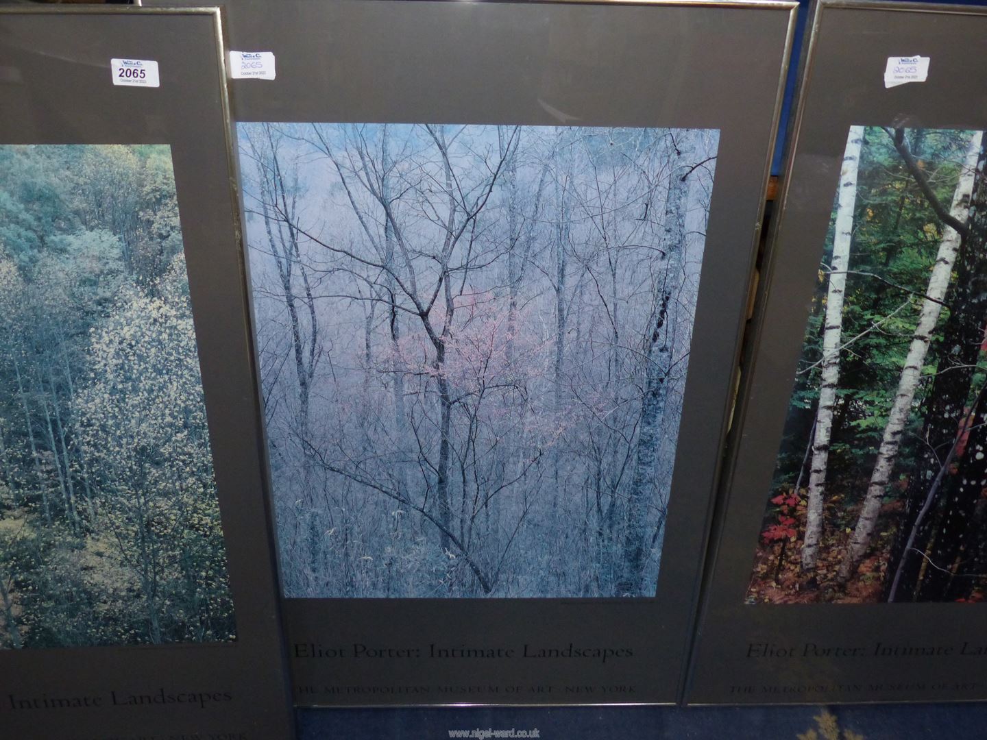 Three Eliot Porter 'Intimate Landscapes' photographs of forests, Met. - Image 3 of 4