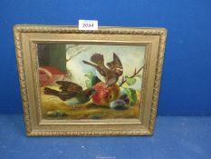 A gilt framed Oil on board of Two sparrows eating an apple, signature lower right G.