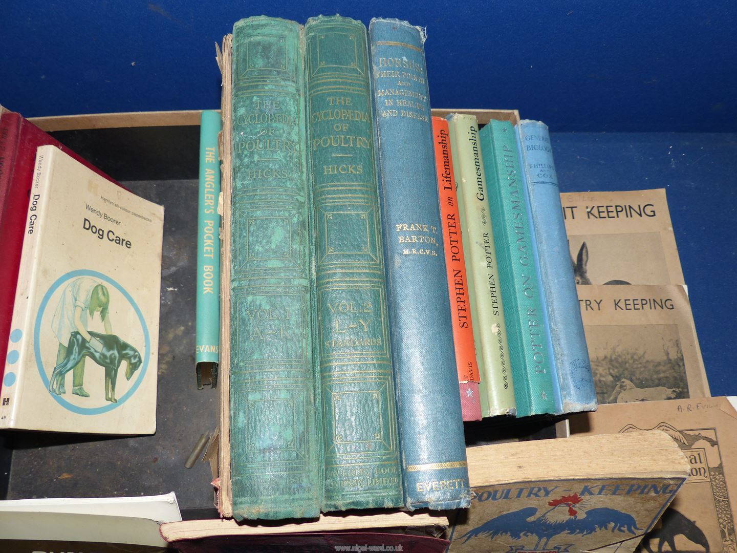 A box of books on Poultry Keeping, Gundog training, Potter on Gamesman Ship etc. - Image 2 of 4