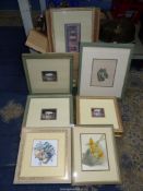 A box of framed Prints including vegetable prints, tea cup and saucers, etc.