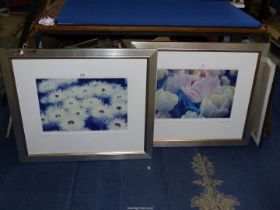 A pair of framed enlarged floral photographs: 'Everlasting' and 'Streaks' by J.J Clews.