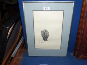 A framed and mounted charcoal drawing of a Rhino, signed lower left N.A Downing 1997.