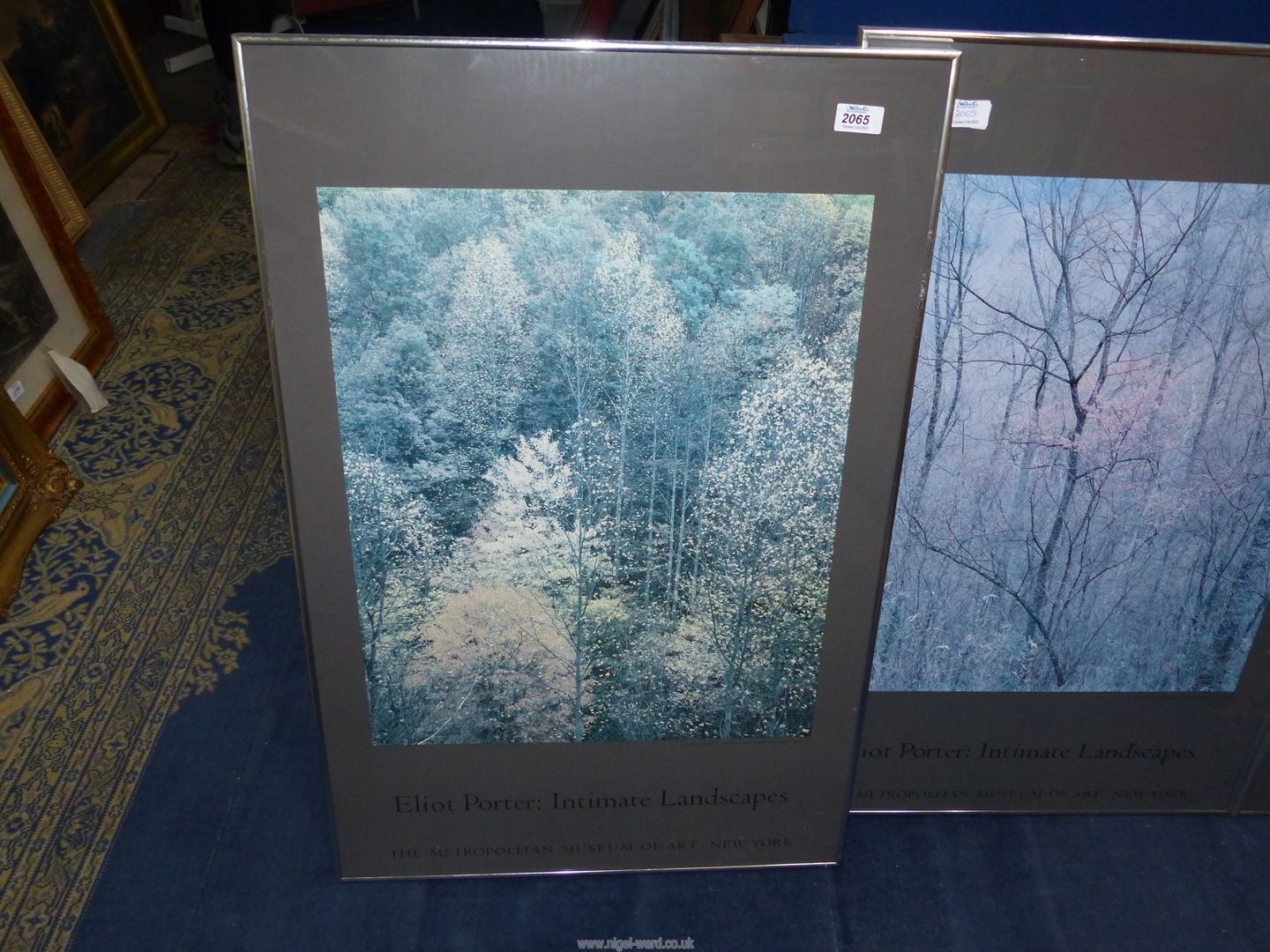 Three Eliot Porter 'Intimate Landscapes' photographs of forests, Met. - Image 2 of 4
