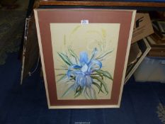 A Watercolour of 'Jacobean Lily' by Andrew Laubier, French, circa 1970's, 20 1/2" x 26 1/2".