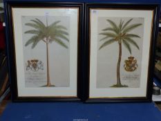 A pair of framed Prints;