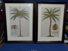 A pair of framed Prints;