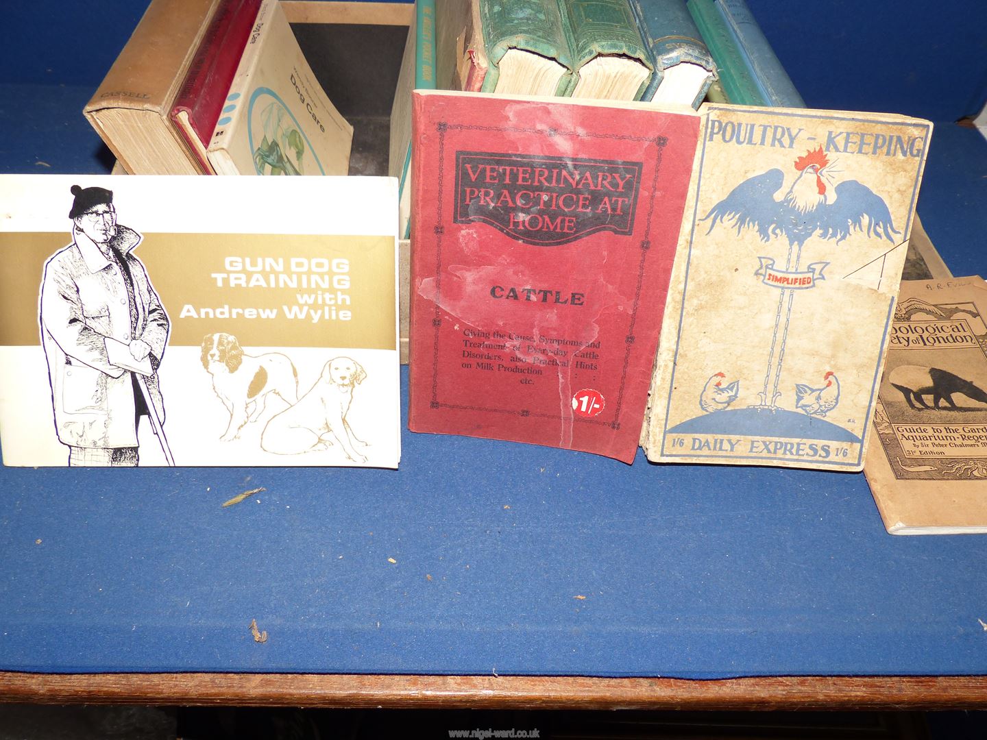 A box of books on Poultry Keeping, Gundog training, Potter on Gamesman Ship etc. - Image 4 of 4