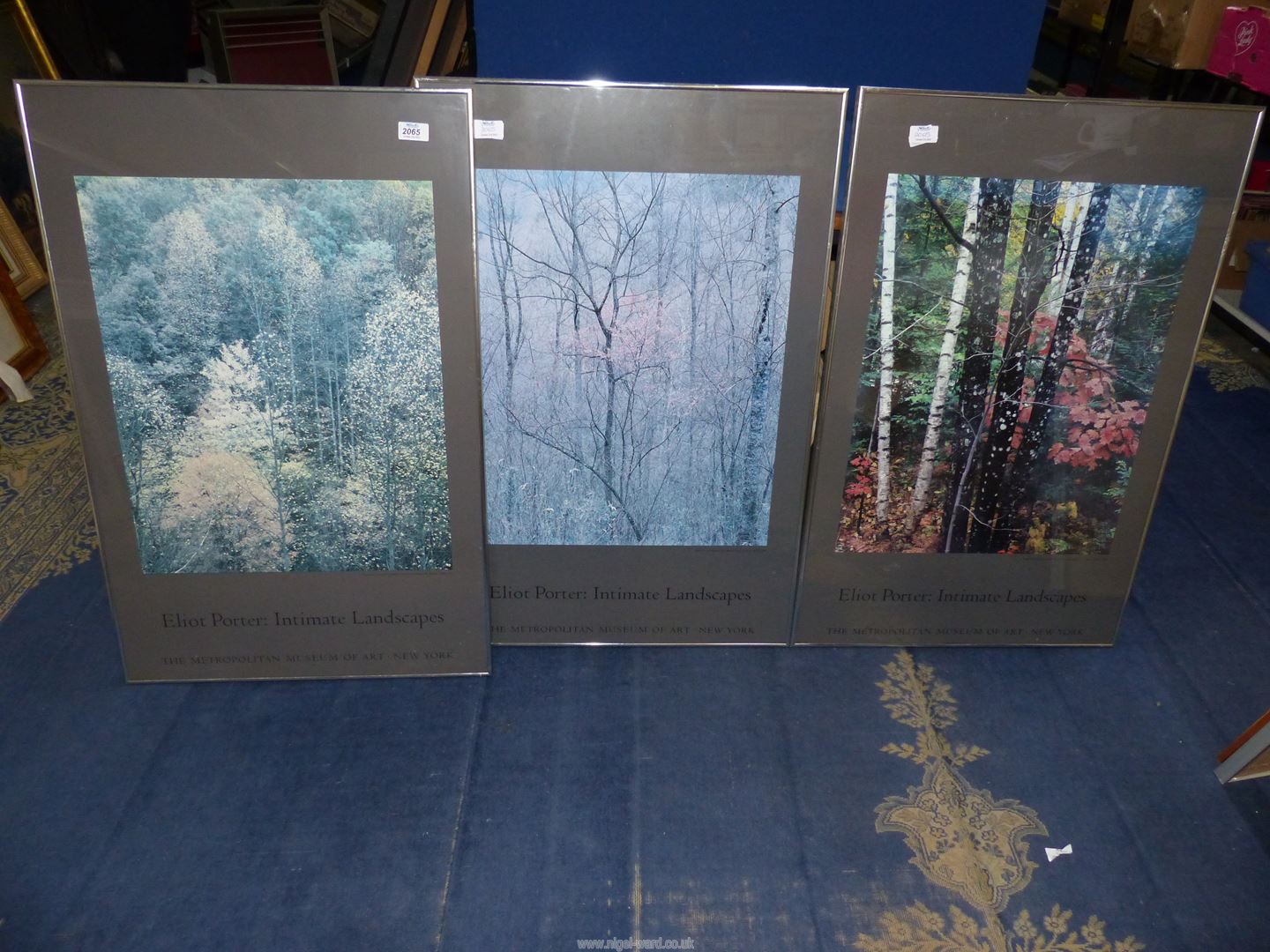 Three Eliot Porter 'Intimate Landscapes' photographs of forests, Met.